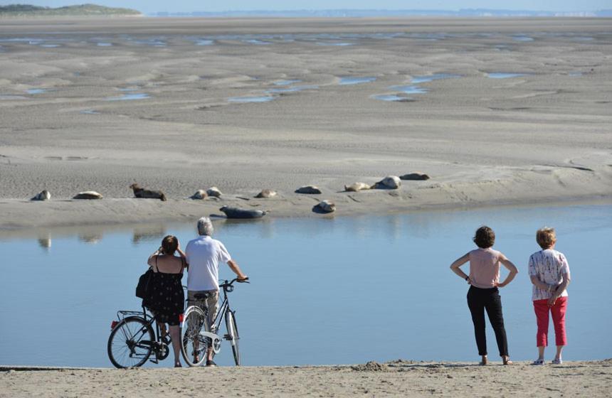 Hamac Chic Vue Mer. Berck ภายนอก รูปภาพ